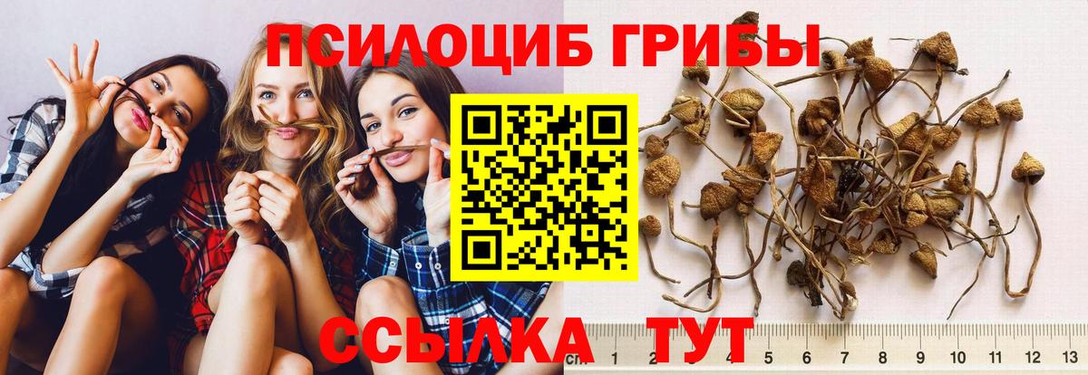 Галлюциногенные грибы мицелий  Вход с VPN  Великий Устюг  Псилоцибиновые грибы Magic Shrooms 
