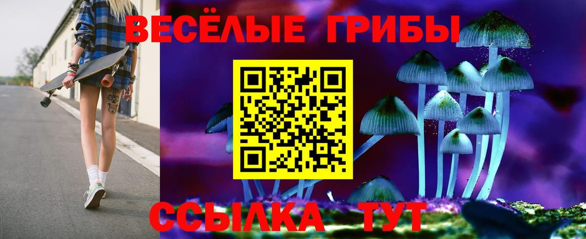 Псилоцибиновые грибы Psilocybe Великий Устюг
